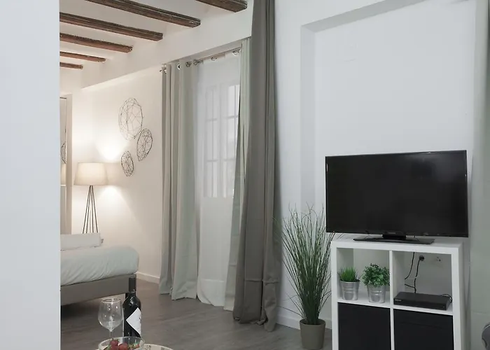 Lägenhet Singularstays Mercado Valencia